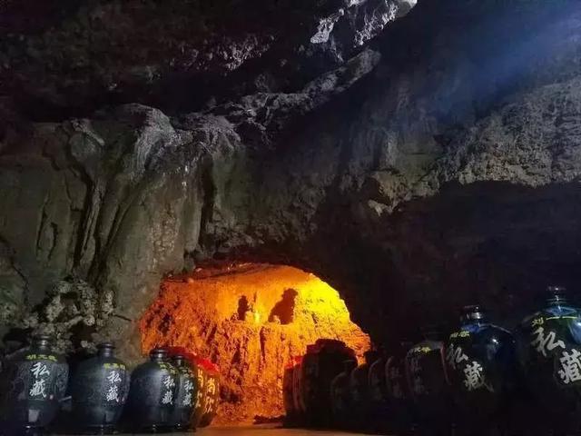风吟鸟语最新流出，一场励志心灵之旅的启航