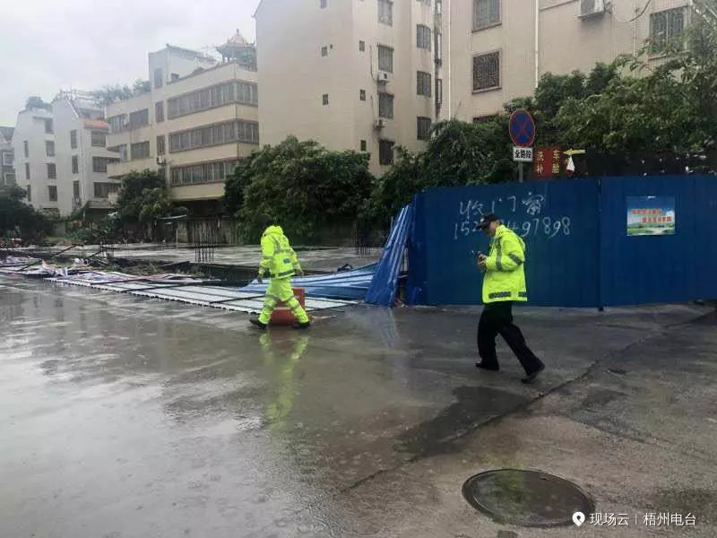 台风云雀最新动态，逆风翱翔，成就自信与成长之路