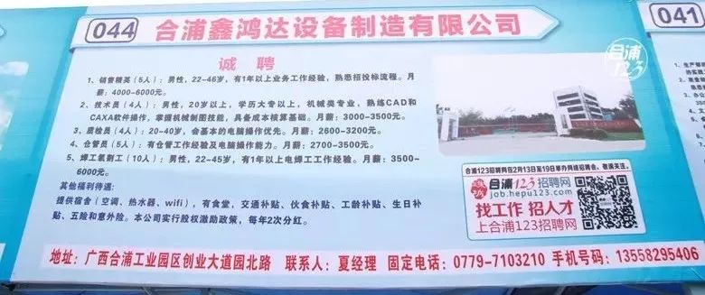 合浦网招聘网最新招聘，探索自然美景之旅，寻找内心平和的伙伴
