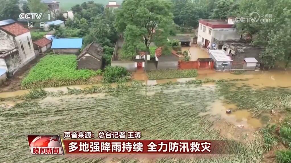 西泗上村最新动态，趣事连连的温馨日常